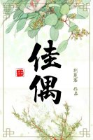佳偶 佳偶