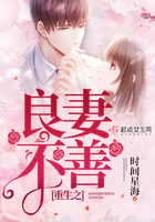 重生之良妻不善 重生之良妻不善
