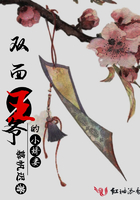 双面王爷的小娇妻 双面王爷的小娇妻