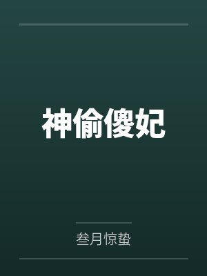 神偷傻妃 神偷傻妃