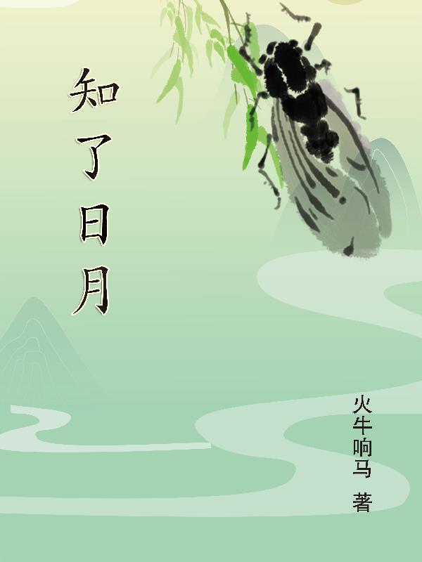 知了日月小说