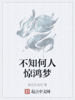 不知何人惊鸿梦 不知何人惊鸿梦