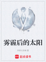 雾霾后的太阳 雾霾后的太阳