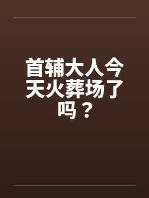 首辅大人今天火葬场了吗? 首辅大人今天火葬场了吗?
