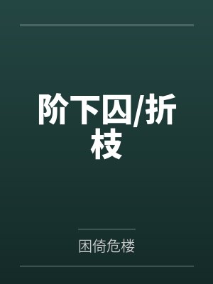 阶下囚折枝网盘