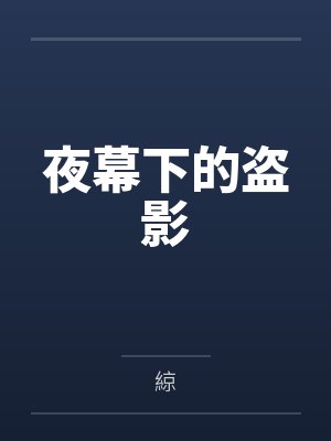 夜幕下的盗影